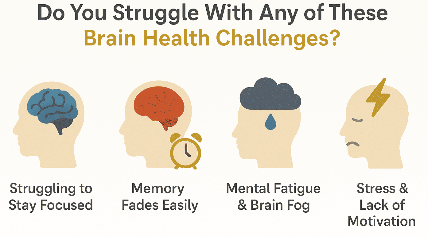 neurozenix focus plus