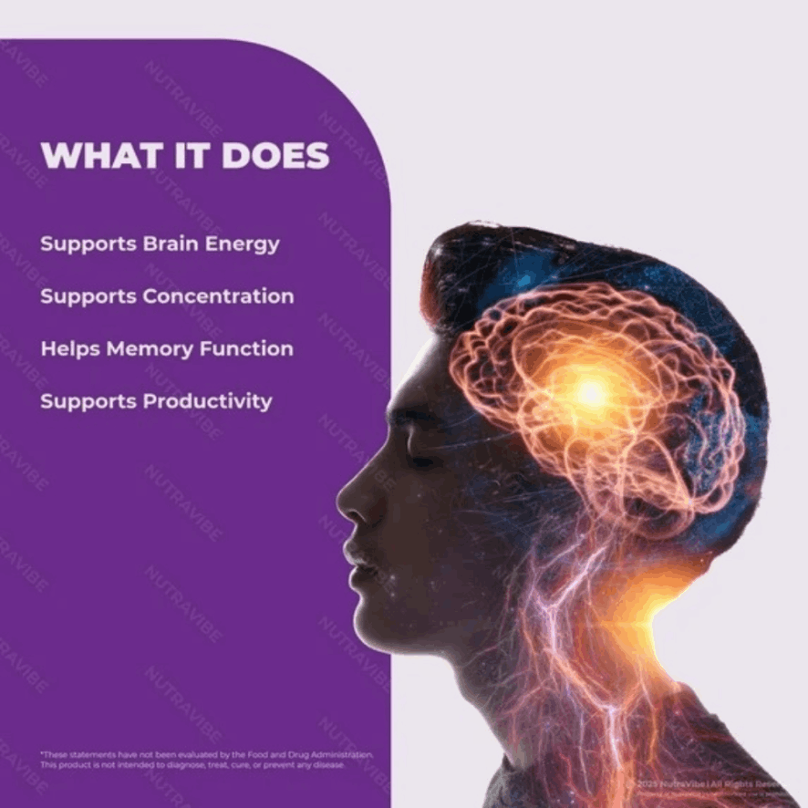 neurozenix focus plus